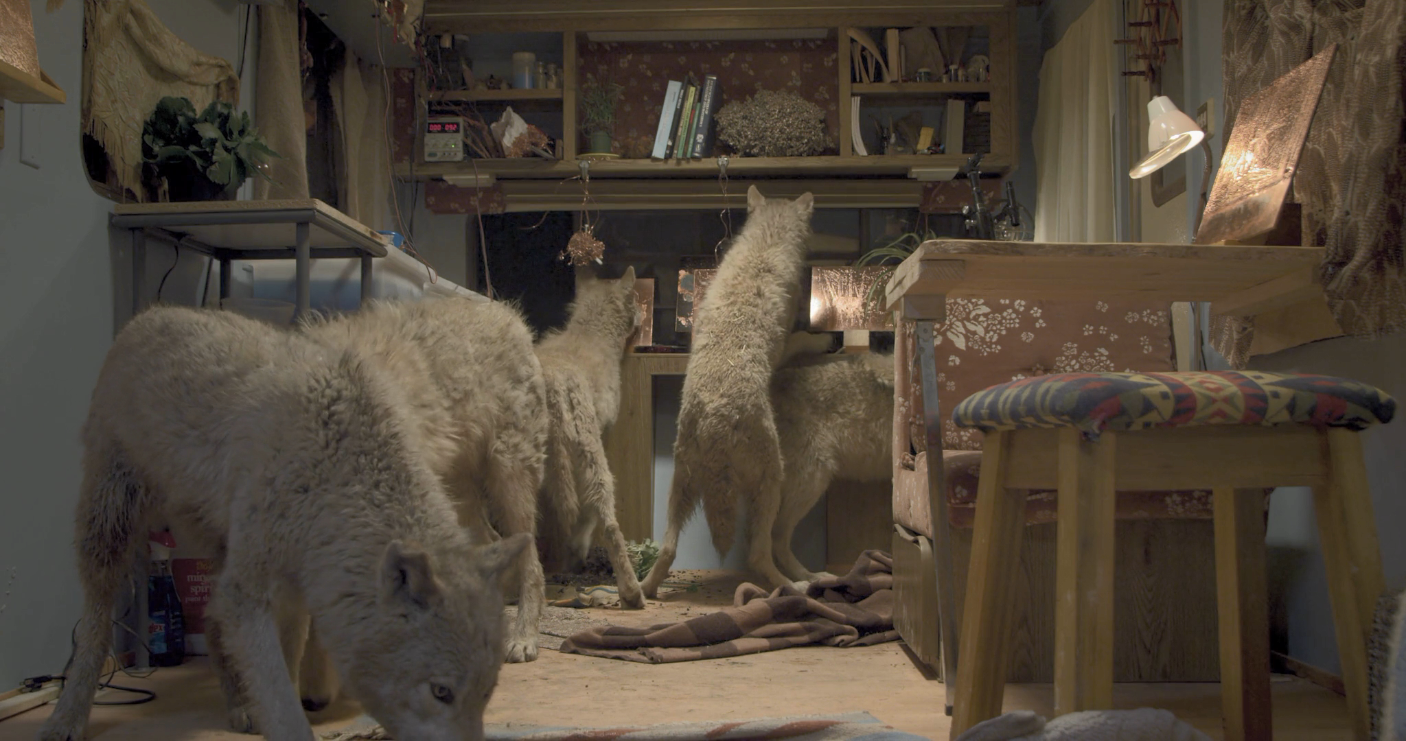 堡垒剧照的剧照