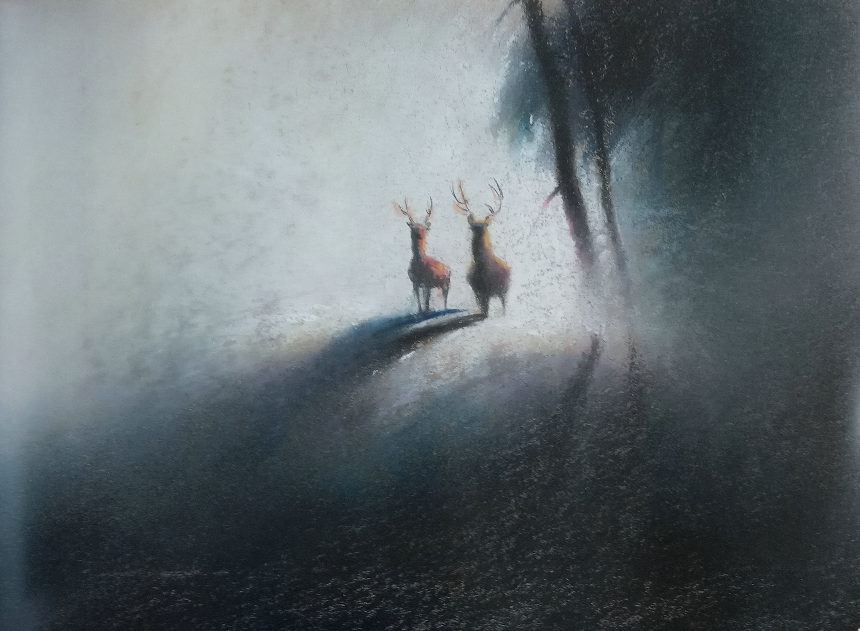 小鹿斑比剧照的剧照