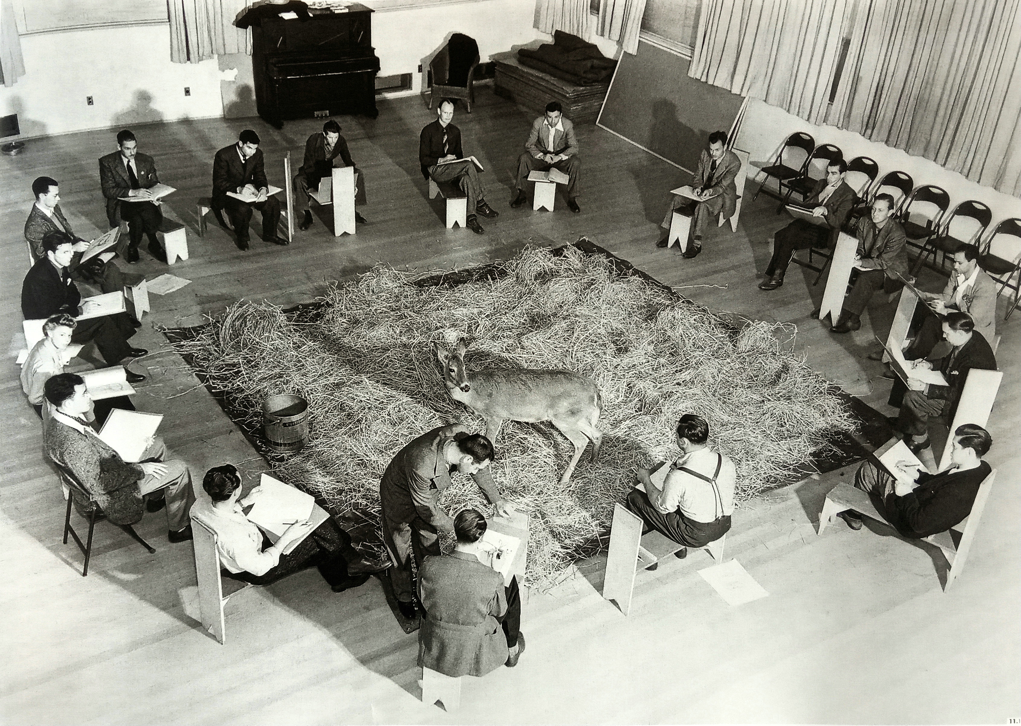 小鹿斑比剧照的剧照