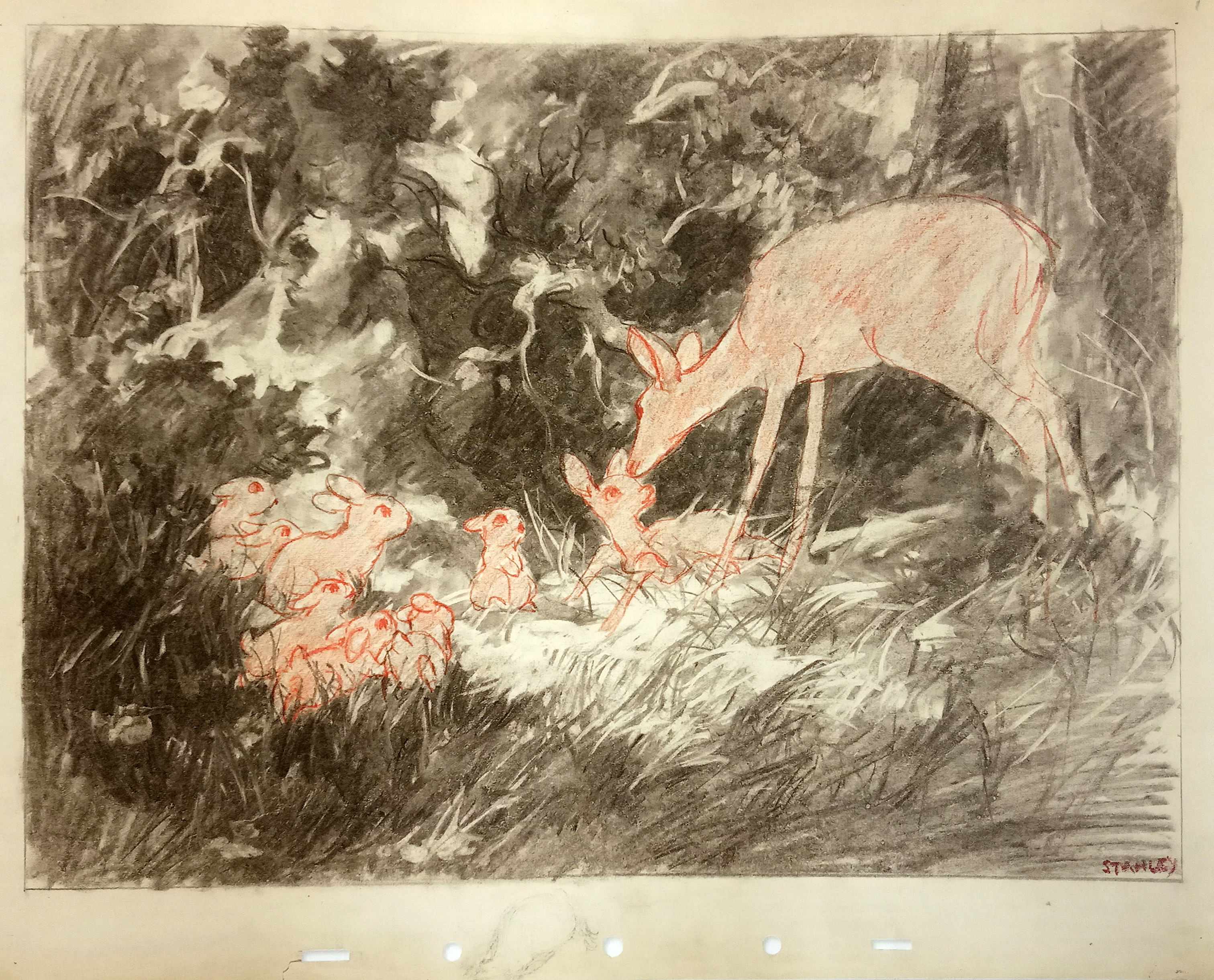 小鹿斑比剧照的剧照