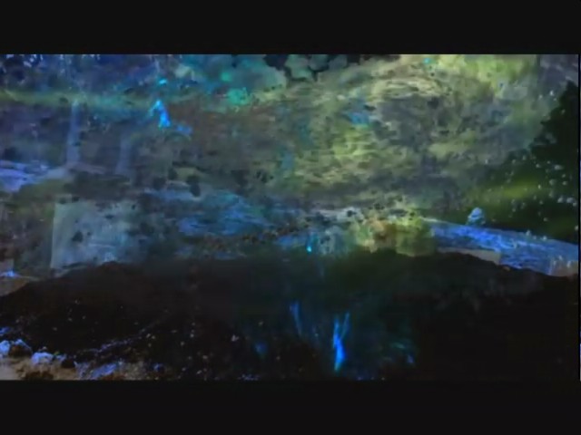 下一个就是你3剧照的剧照