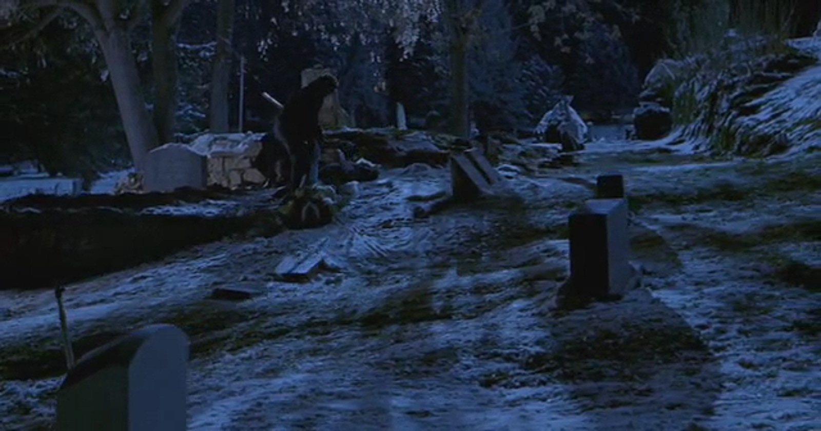 下一个就是你3剧照的剧照