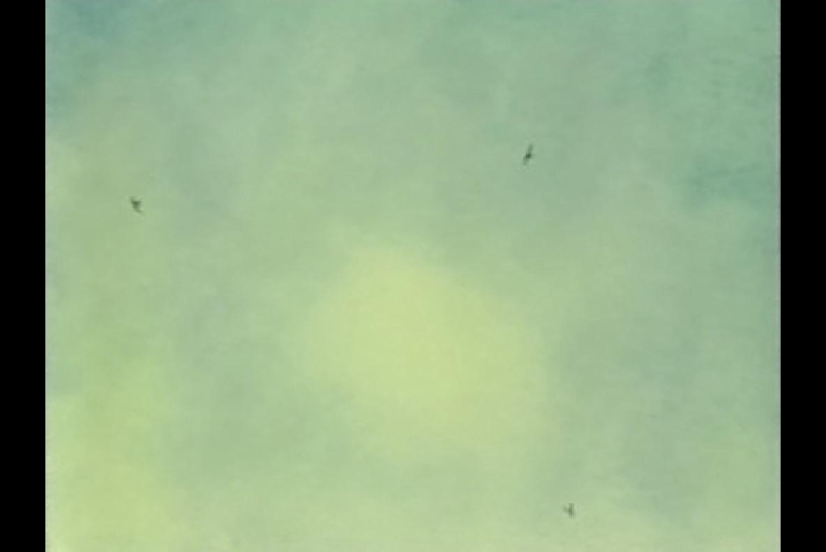 和尚与飞鱼剧照的剧照