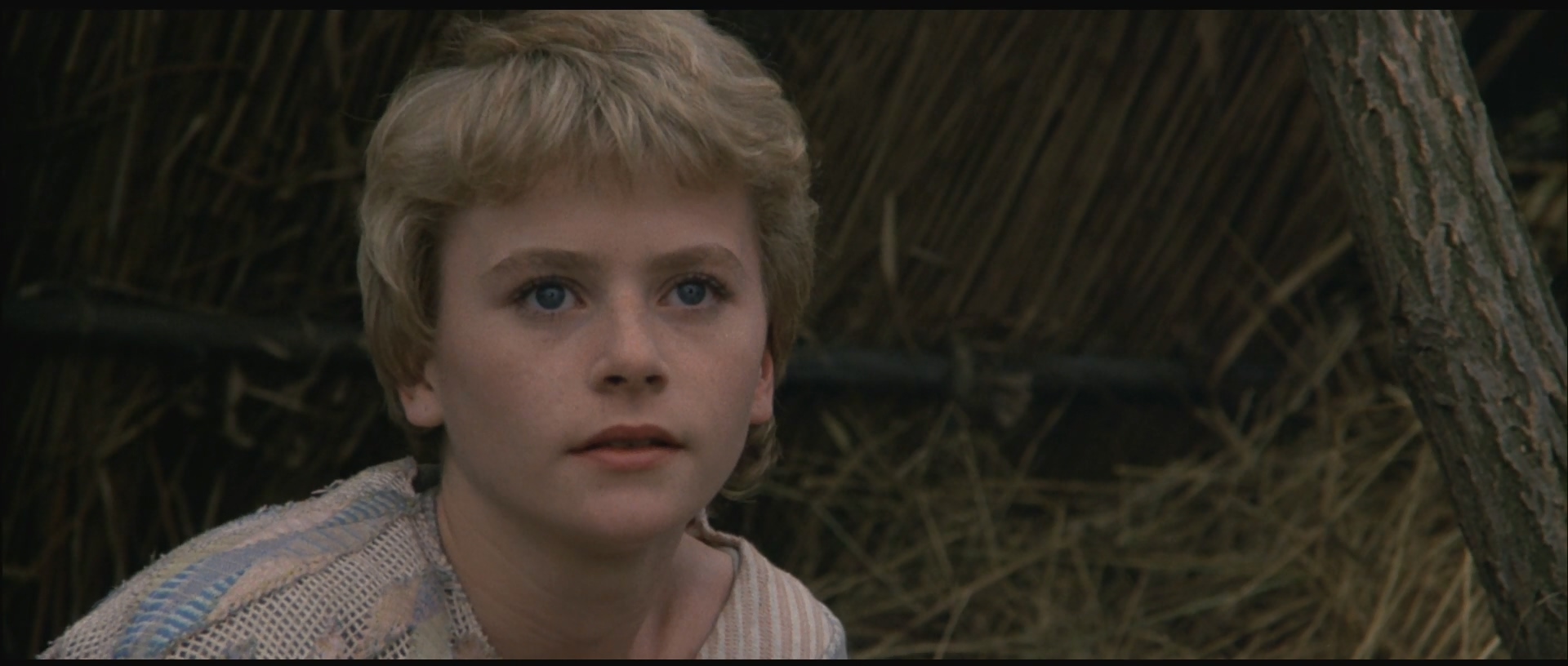 狮心王理查剧照的剧照