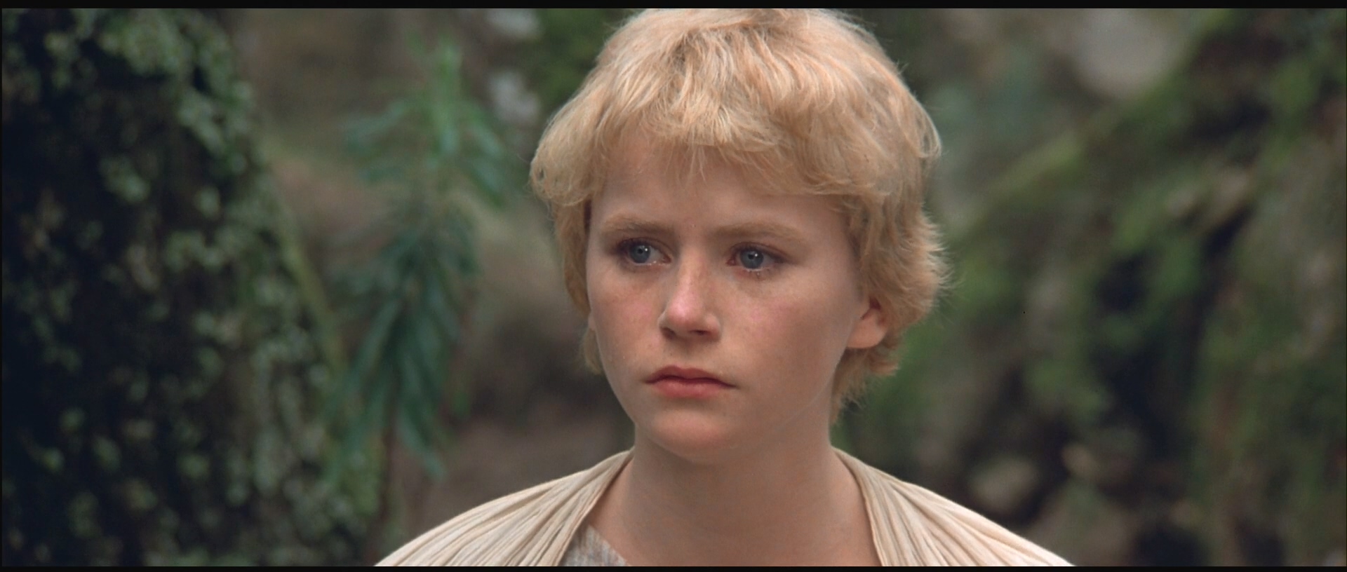 狮心王理查剧照的剧照