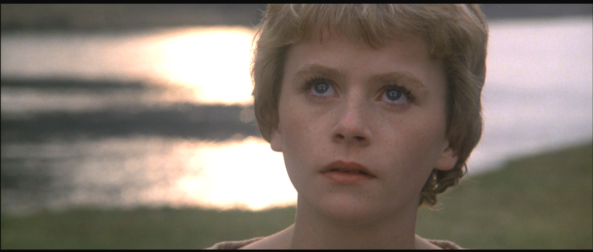 狮心王理查剧照的剧照