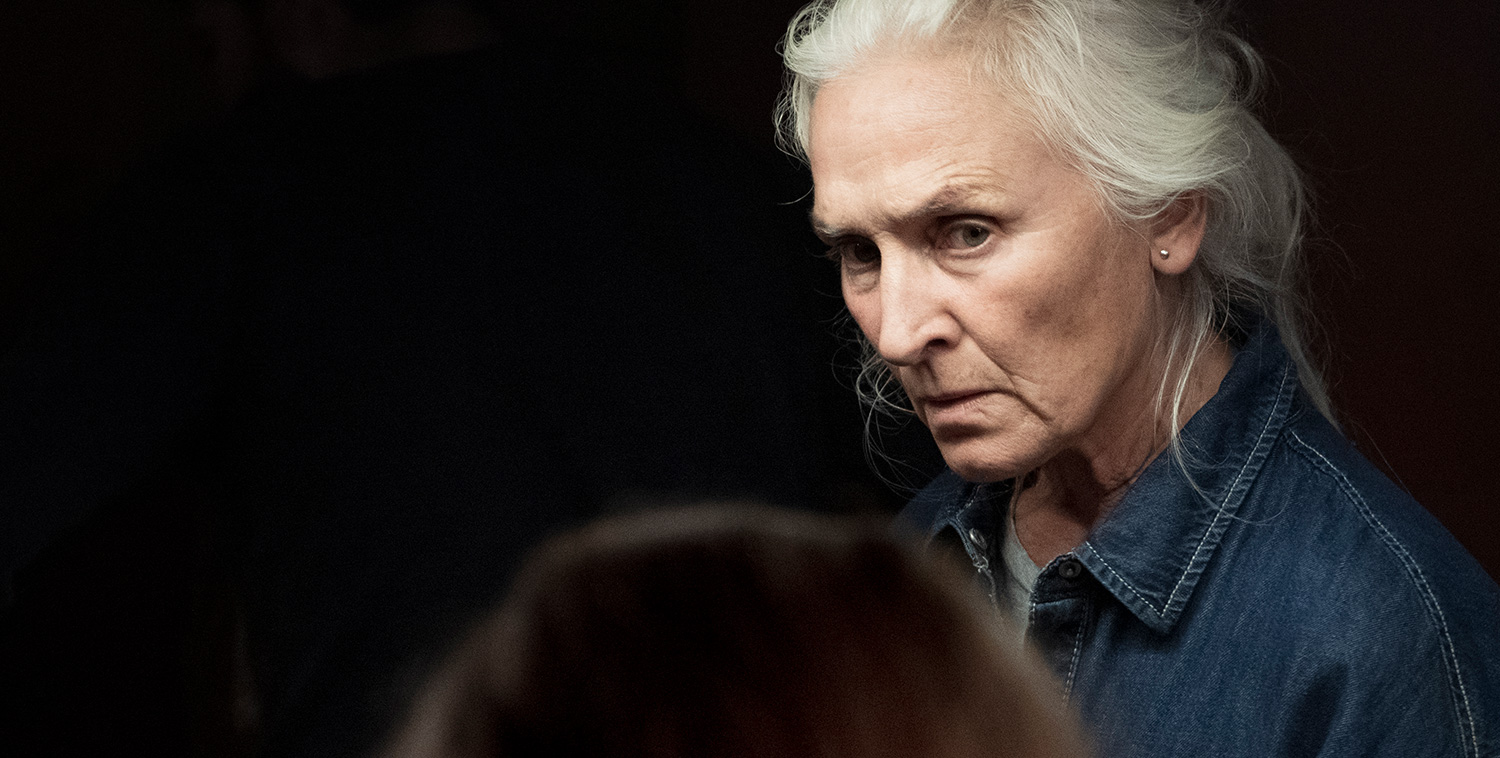 海热剧照的剧照