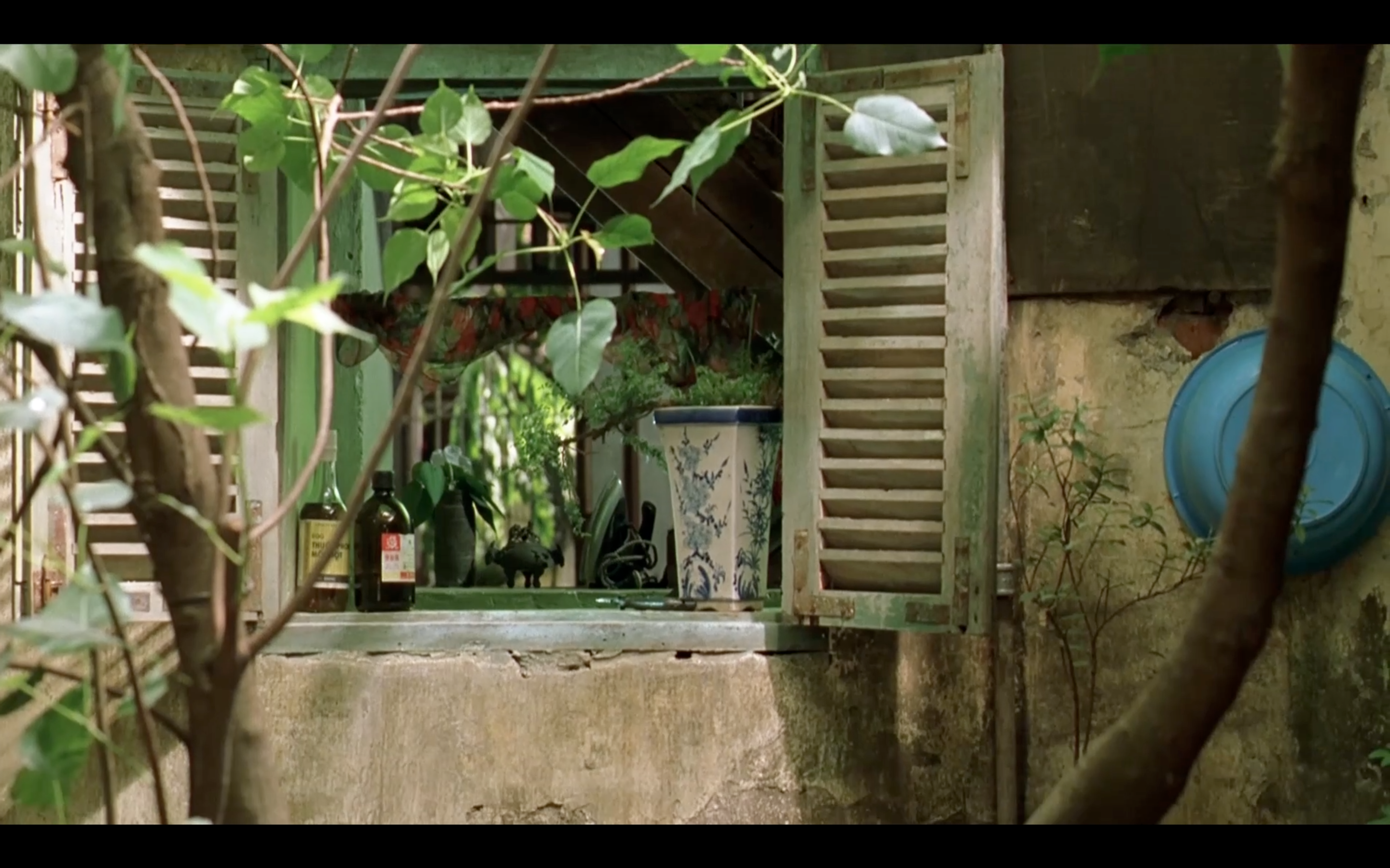 夏天的滋味剧照的剧照