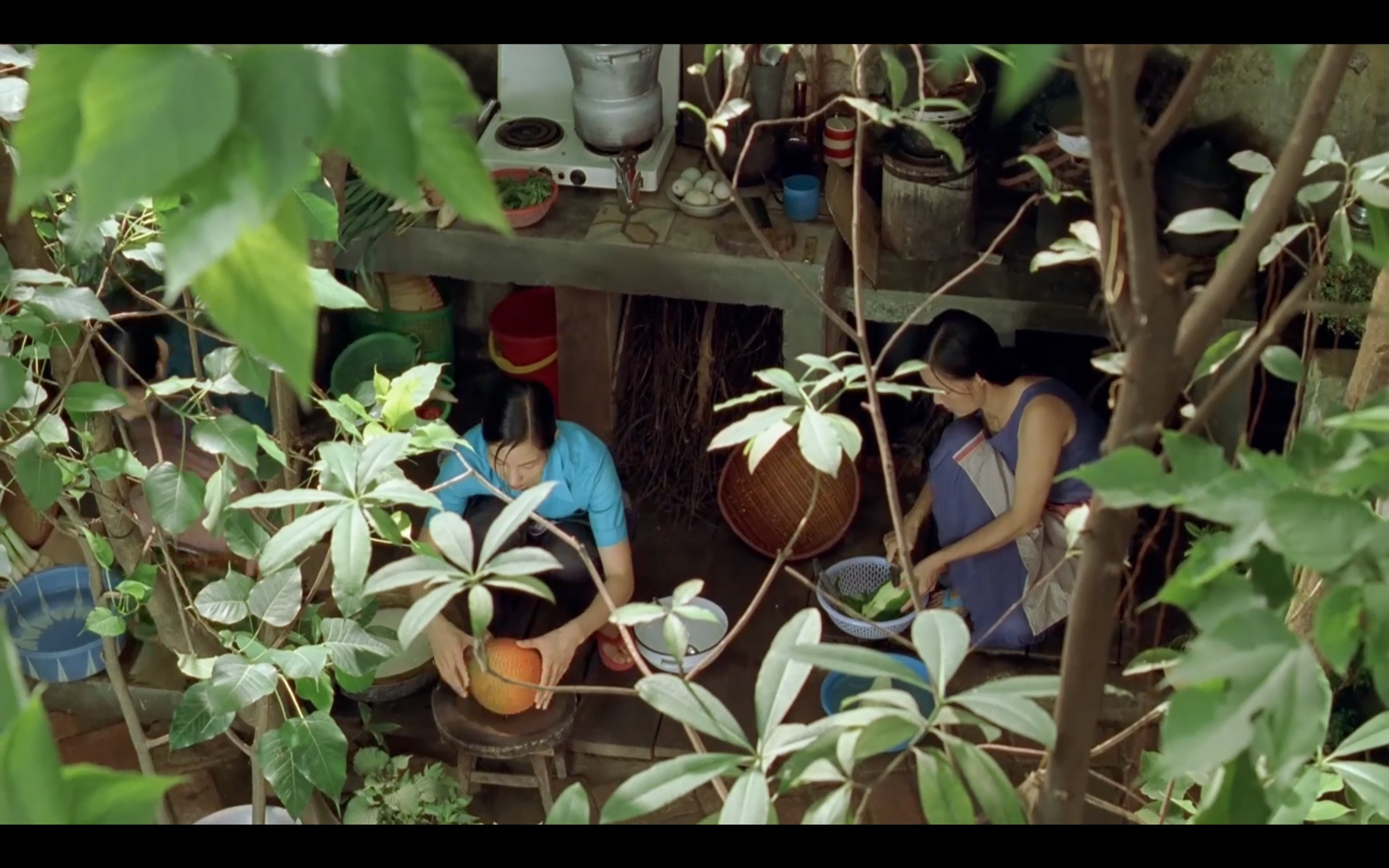 夏天的滋味剧照的剧照