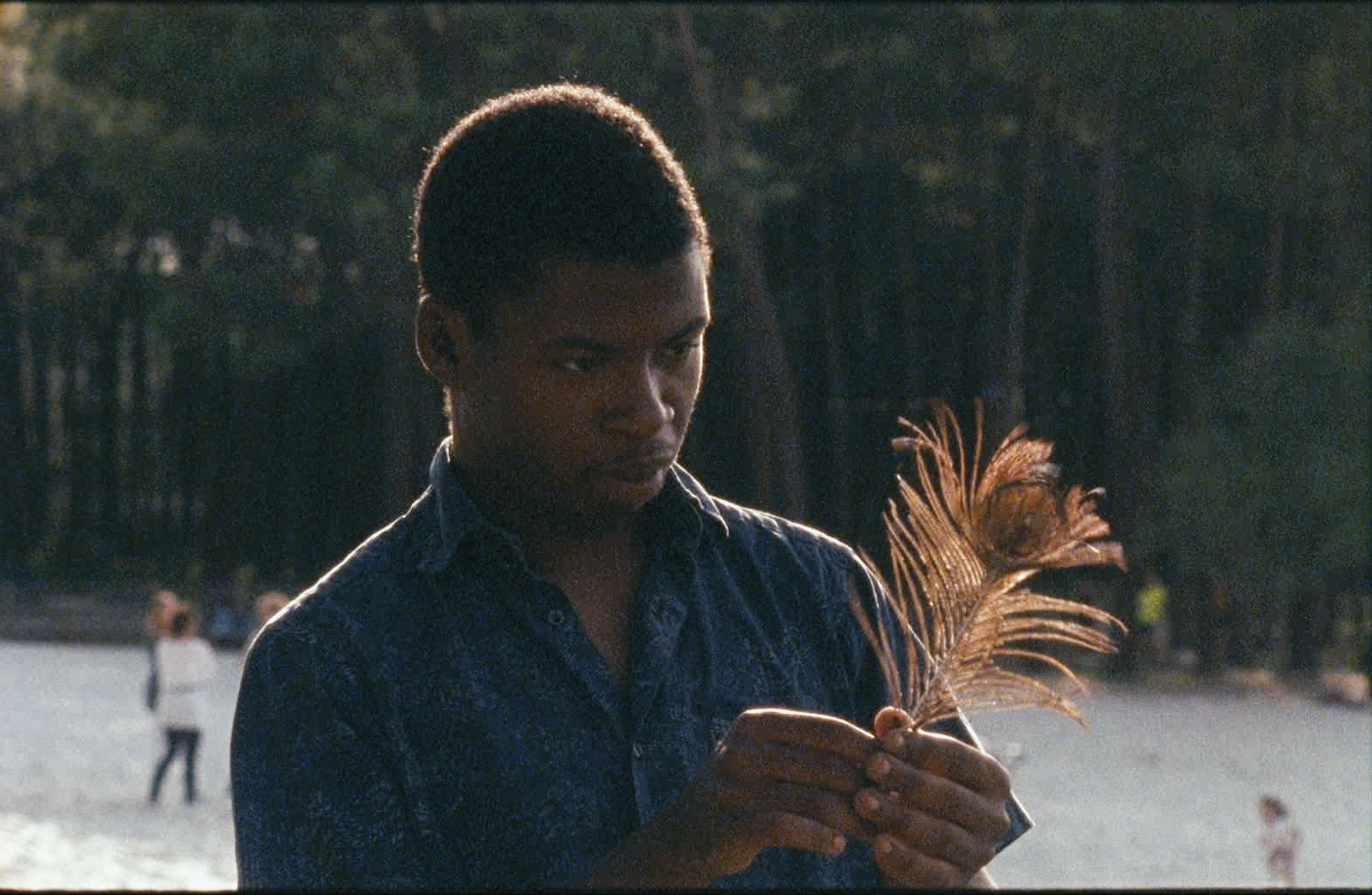 索非亚园区剧照的剧照