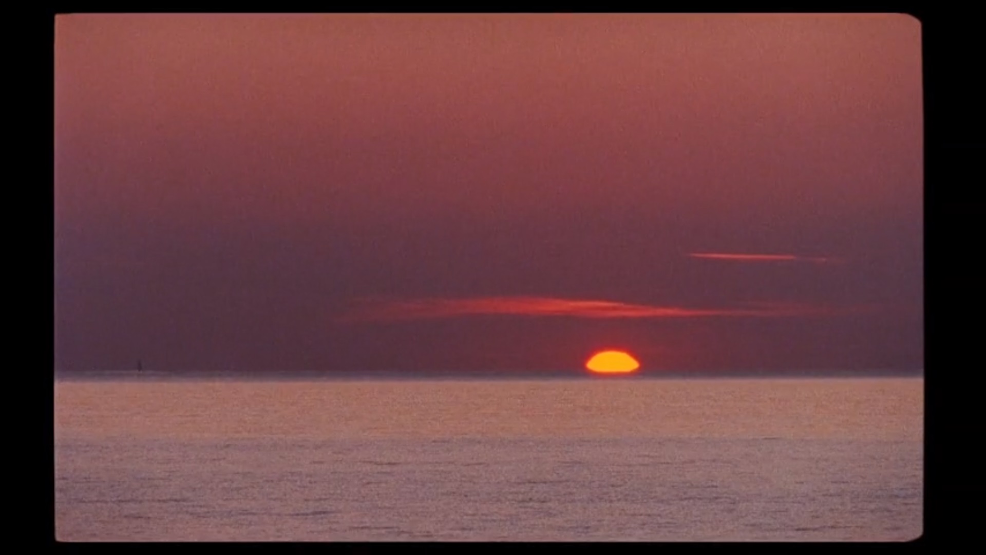 索非亚园区剧照的剧照