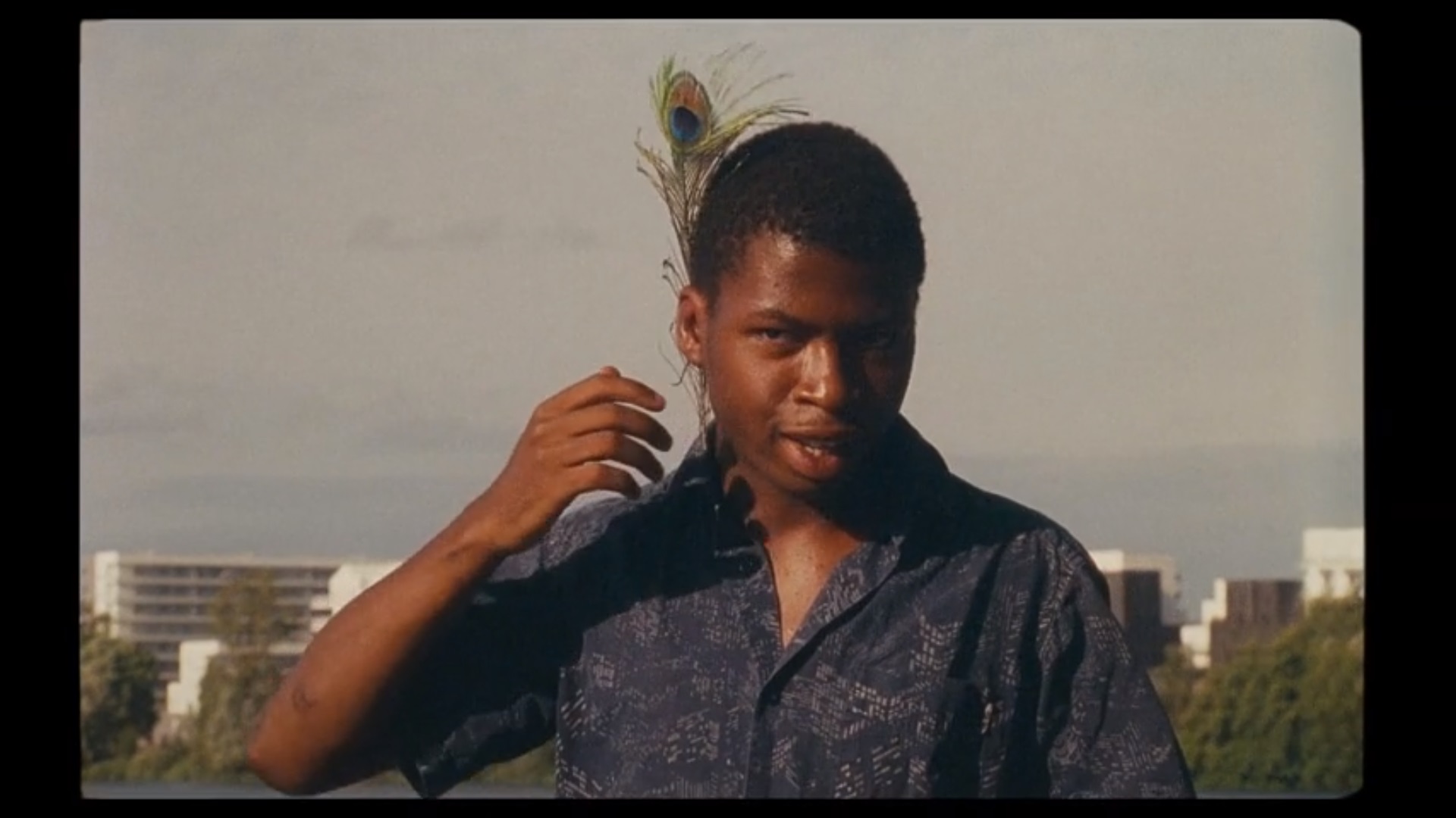 索非亚园区剧照的剧照