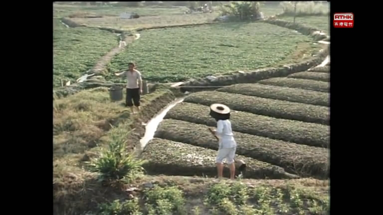 岁月河山之阿花别哭剧照的剧照