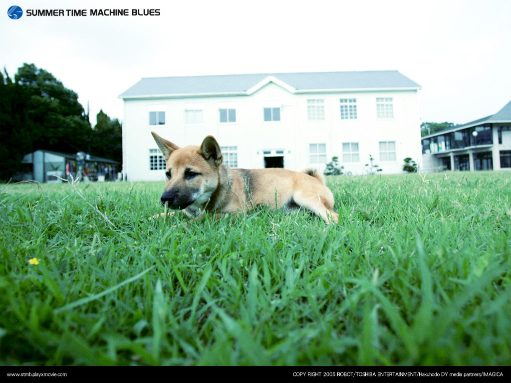 夏日时光机剧照的剧照