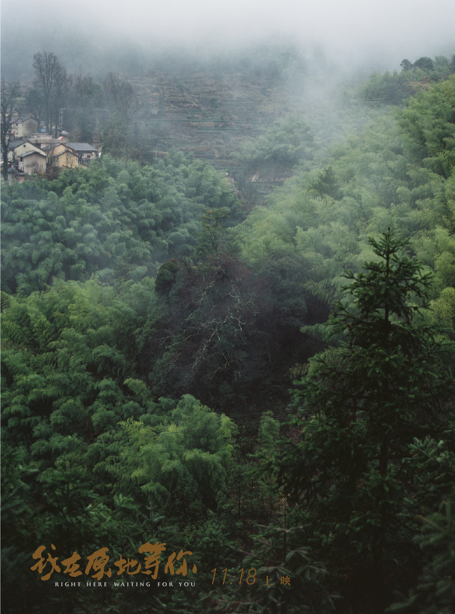 我在原地等你剧照的剧照