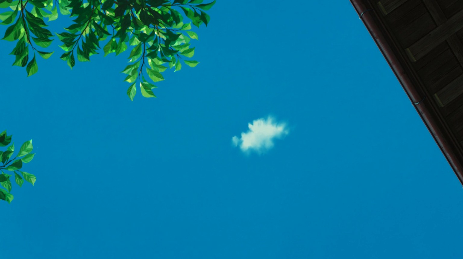 小学生老板娘剧照的剧照