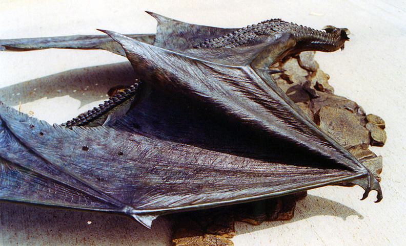 火龙帝国剧照的剧照