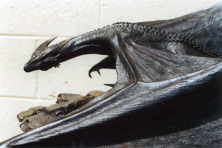 火龙帝国剧照的剧照