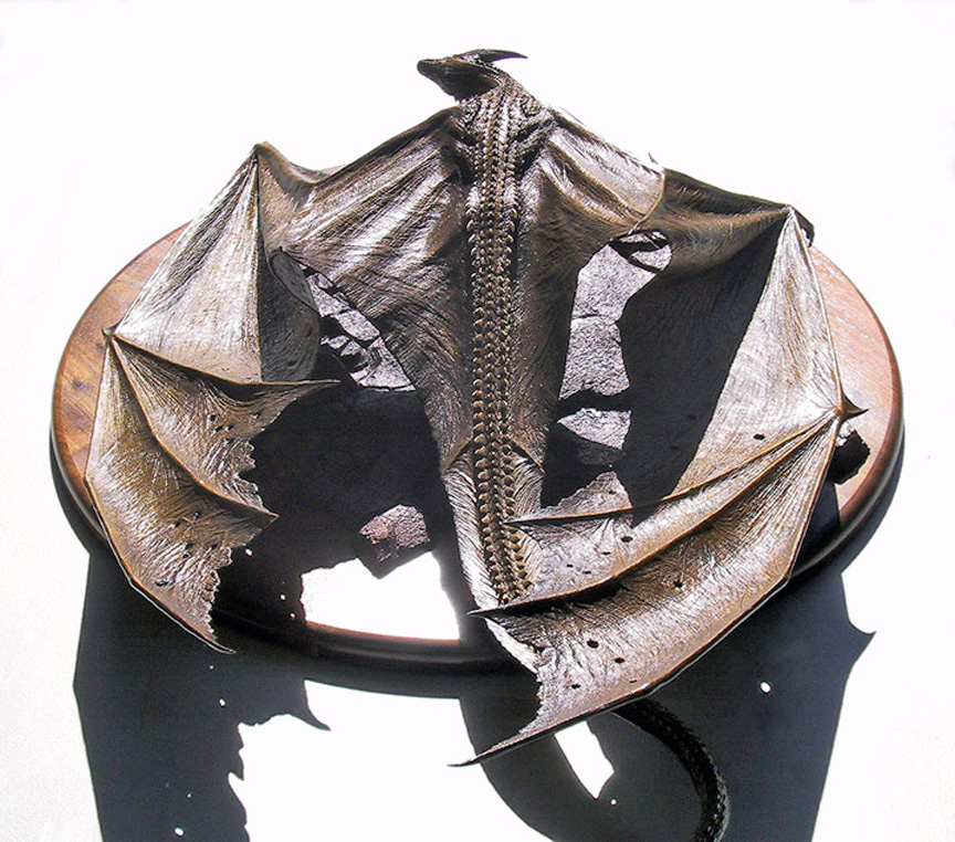 火龙帝国剧照的剧照