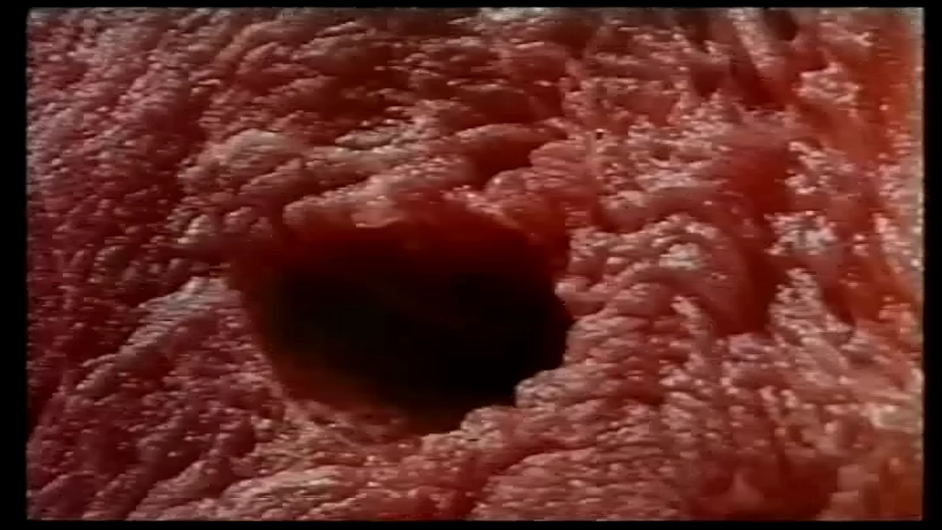 肉之恋剧照的剧照