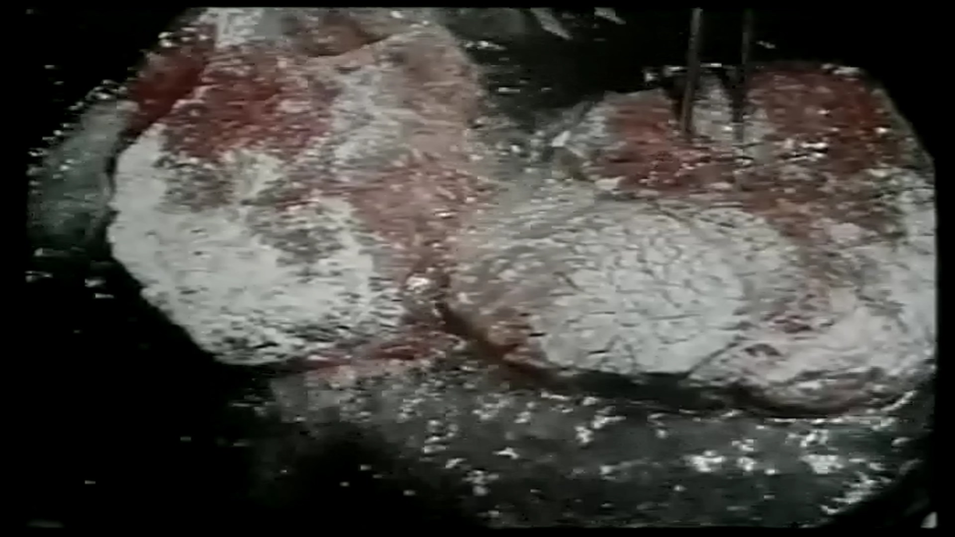 肉之恋剧照的剧照