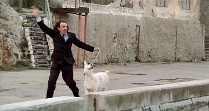 西服剧照的剧照