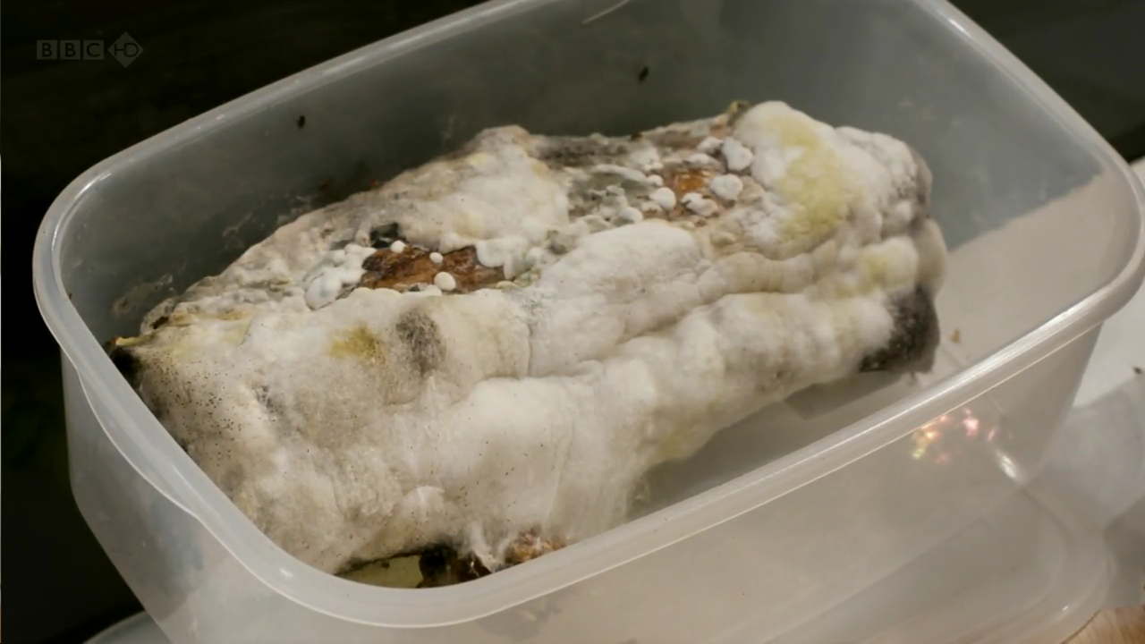 生命循环：奇异的腐烂科学剧照的剧照