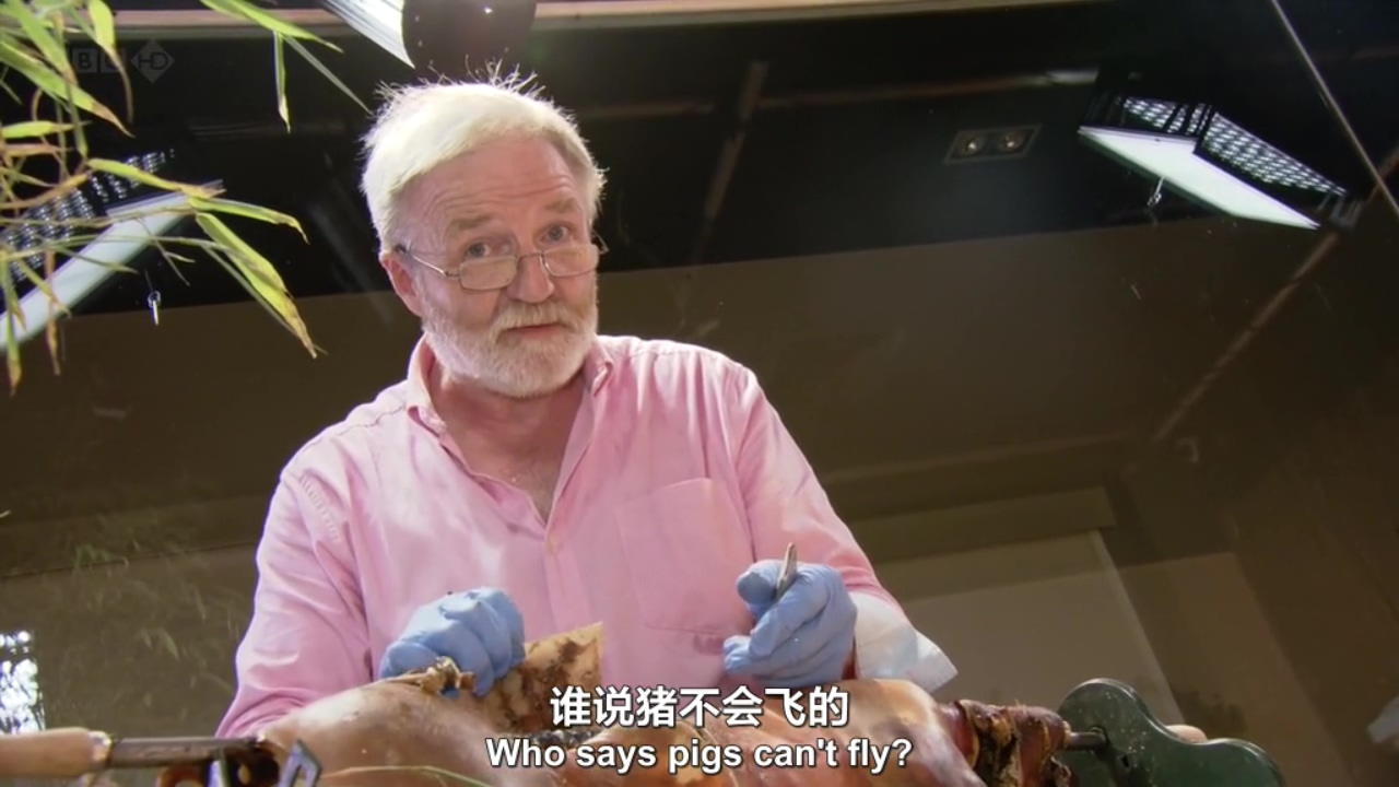 生命循环：奇异的腐烂科学剧照的剧照