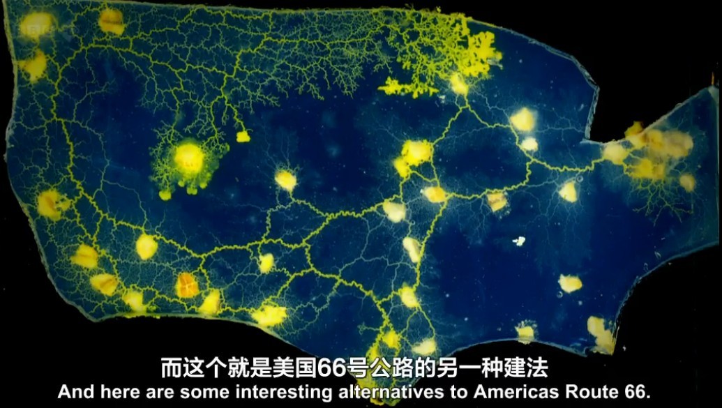 生命循环：奇异的腐烂科学剧照的剧照