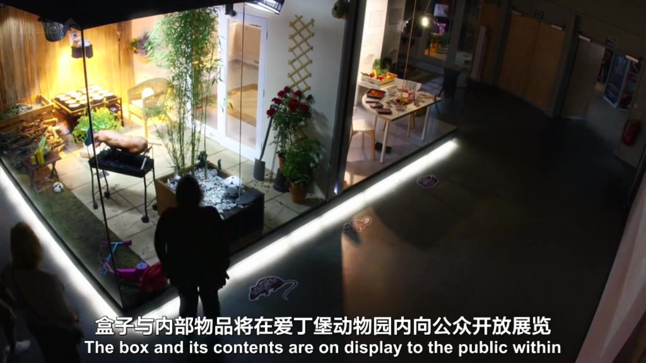 生命循环：奇异的腐烂科学剧照的剧照