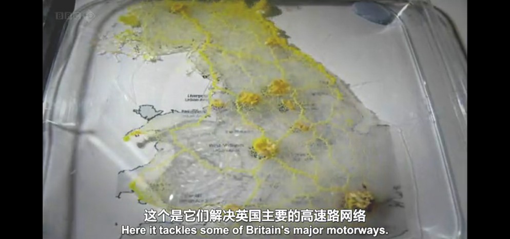 生命循环：奇异的腐烂科学剧照的剧照