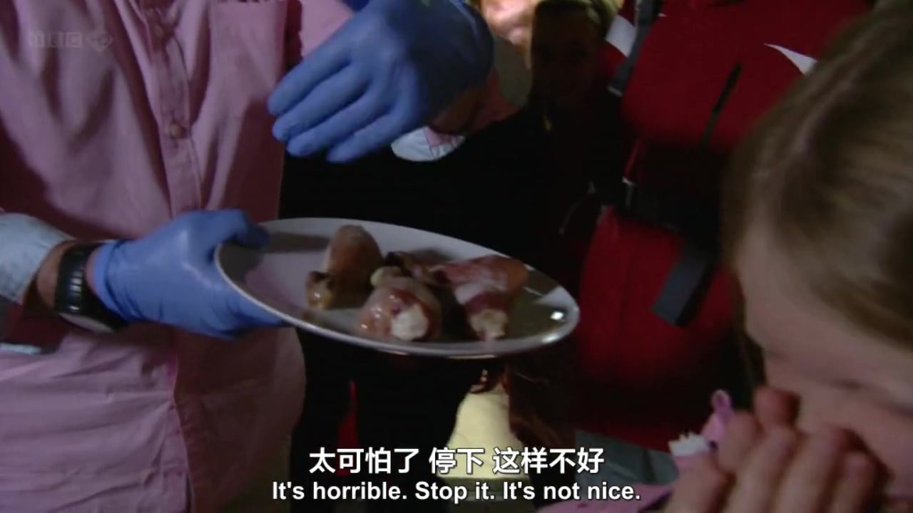 生命循环：奇异的腐烂科学剧照的剧照