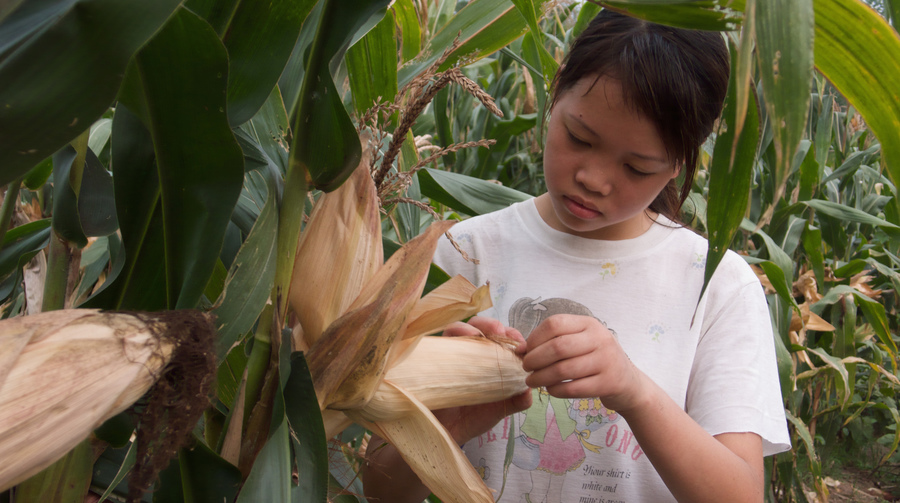 归途列车剧照的剧照