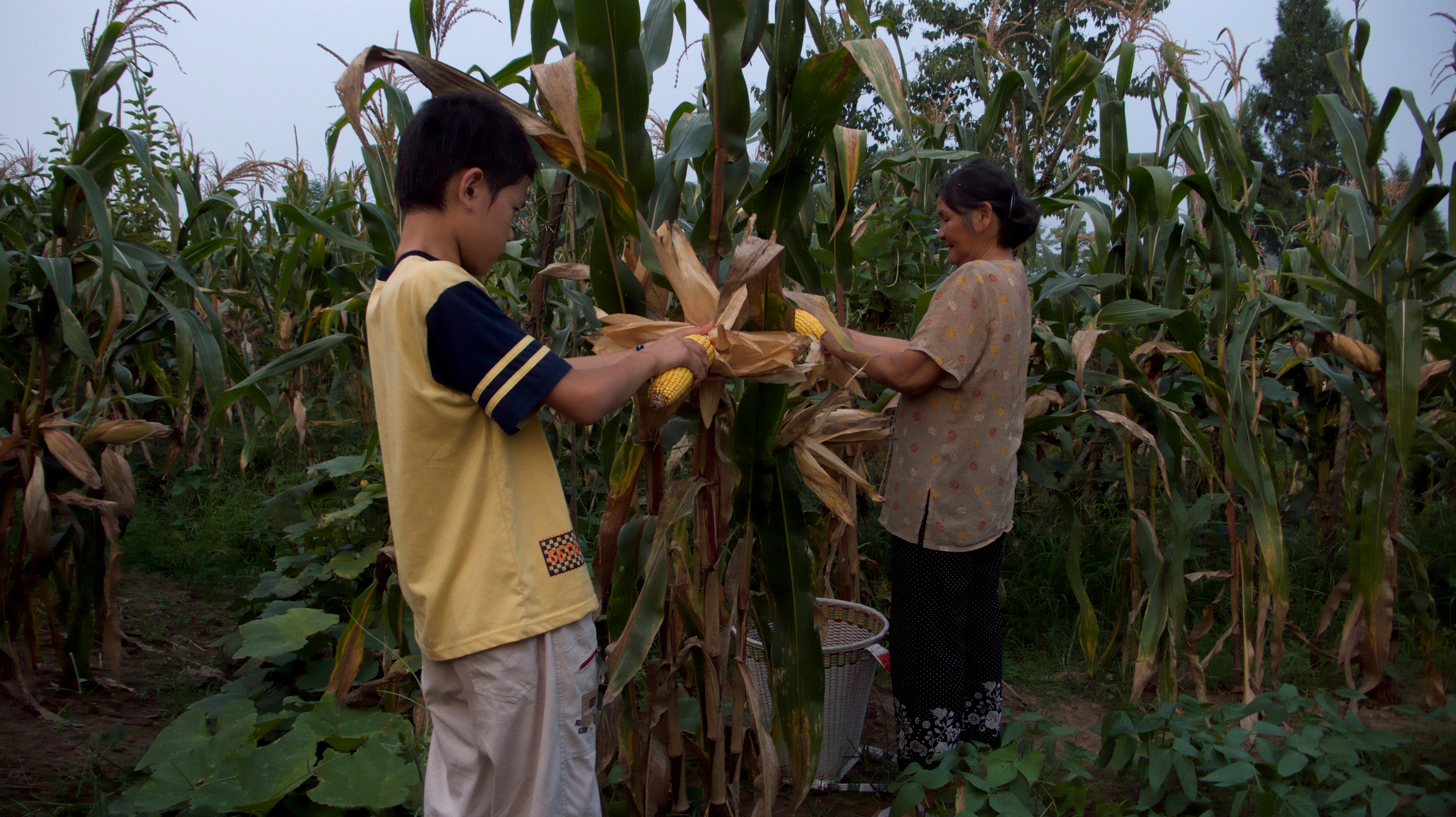 归途列车剧照的剧照
