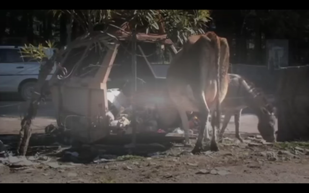 塑料成瘾剧照的剧照