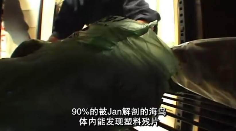 塑料成瘾剧照的剧照