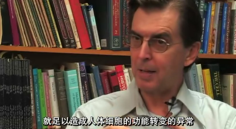 塑料成瘾剧照的剧照