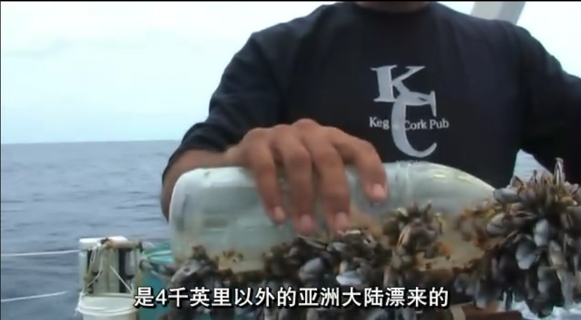 塑料成瘾剧照的剧照