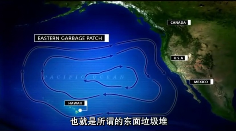 塑料成瘾剧照的剧照