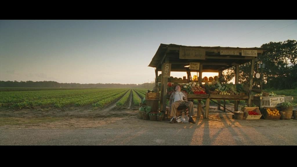 芳心谋杀案剧照的剧照