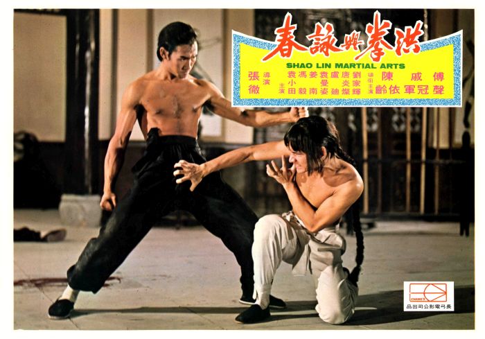 洪拳与咏春剧照的剧照