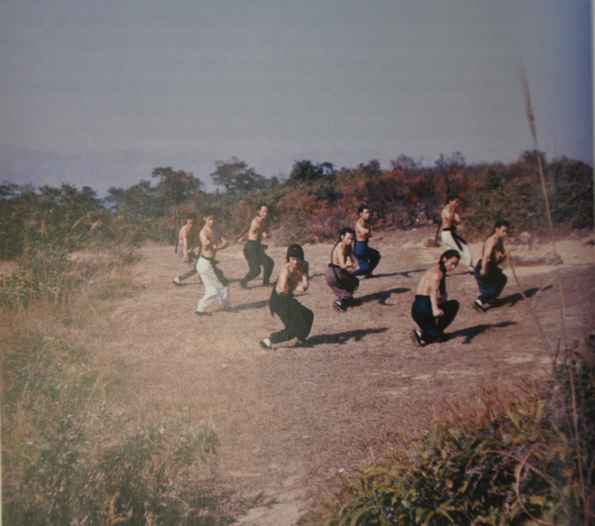 洪拳与咏春剧照的剧照