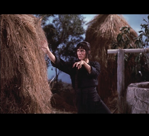 洪拳与咏春剧照的剧照