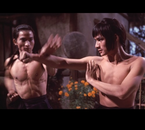 洪拳与咏春剧照的剧照
