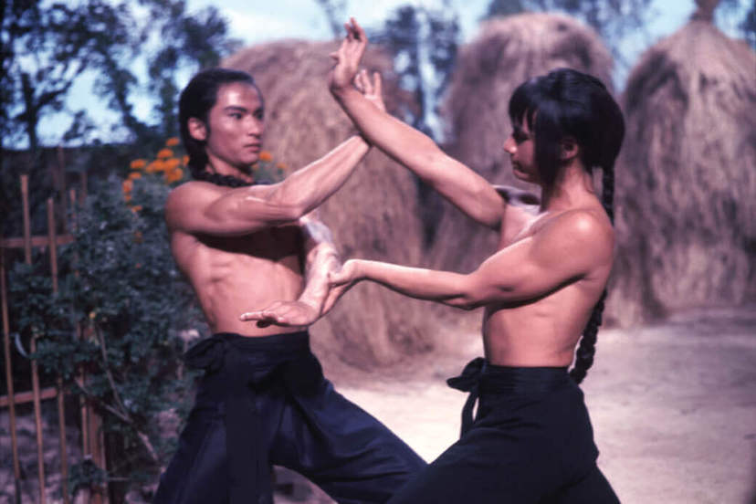 洪拳与咏春剧照的剧照