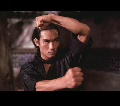 洪拳与咏春剧照的剧照