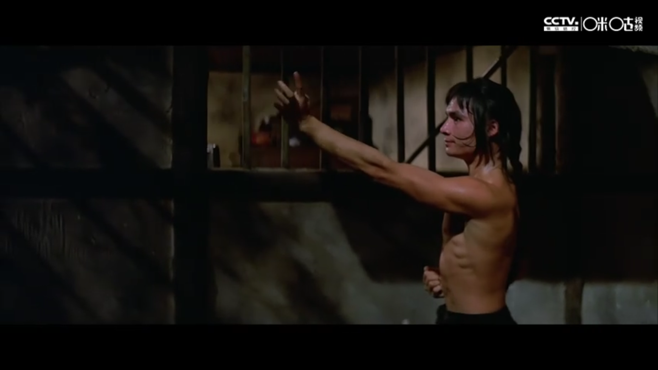 洪拳与咏春剧照的剧照