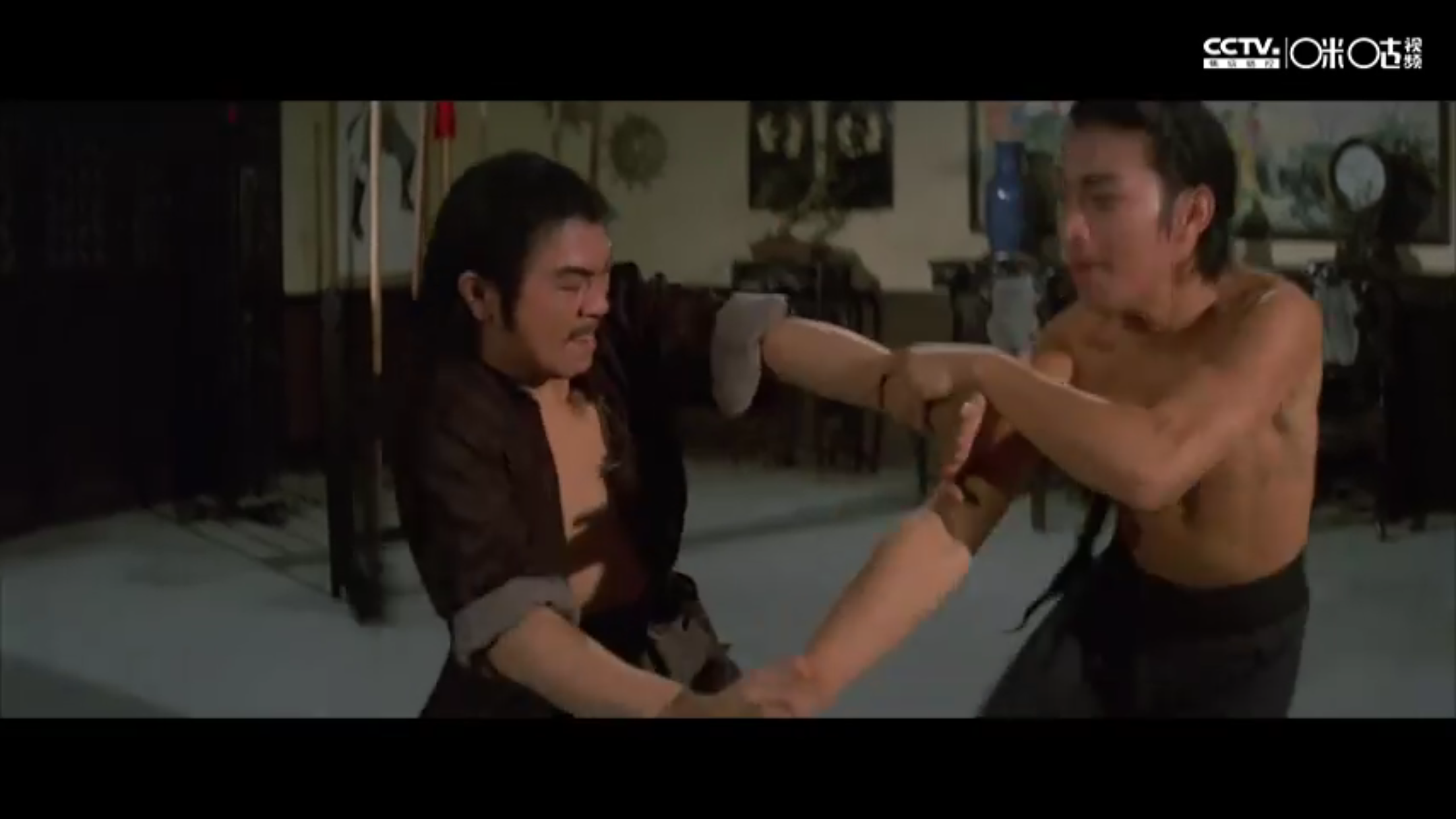 洪拳与咏春剧照的剧照