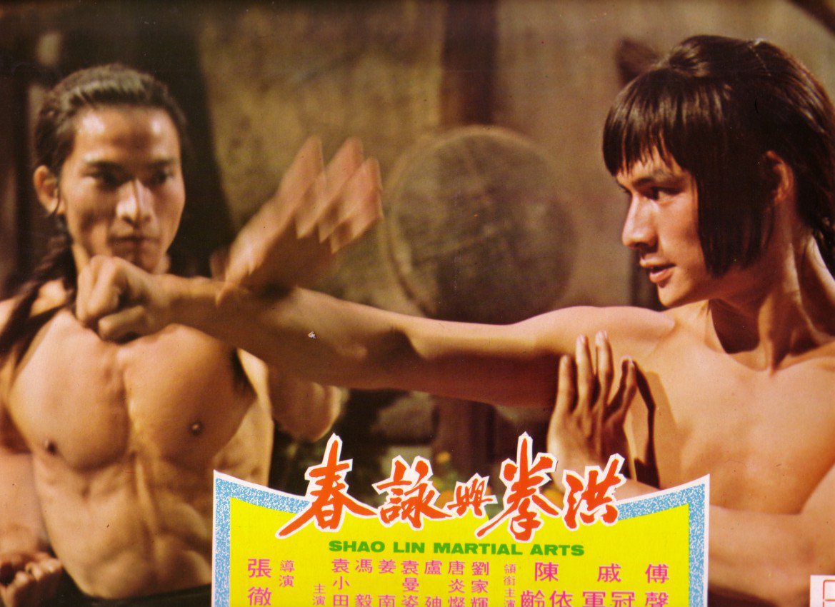 洪拳与咏春剧照的剧照