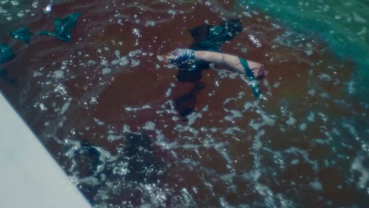 渔枪剧照的剧照